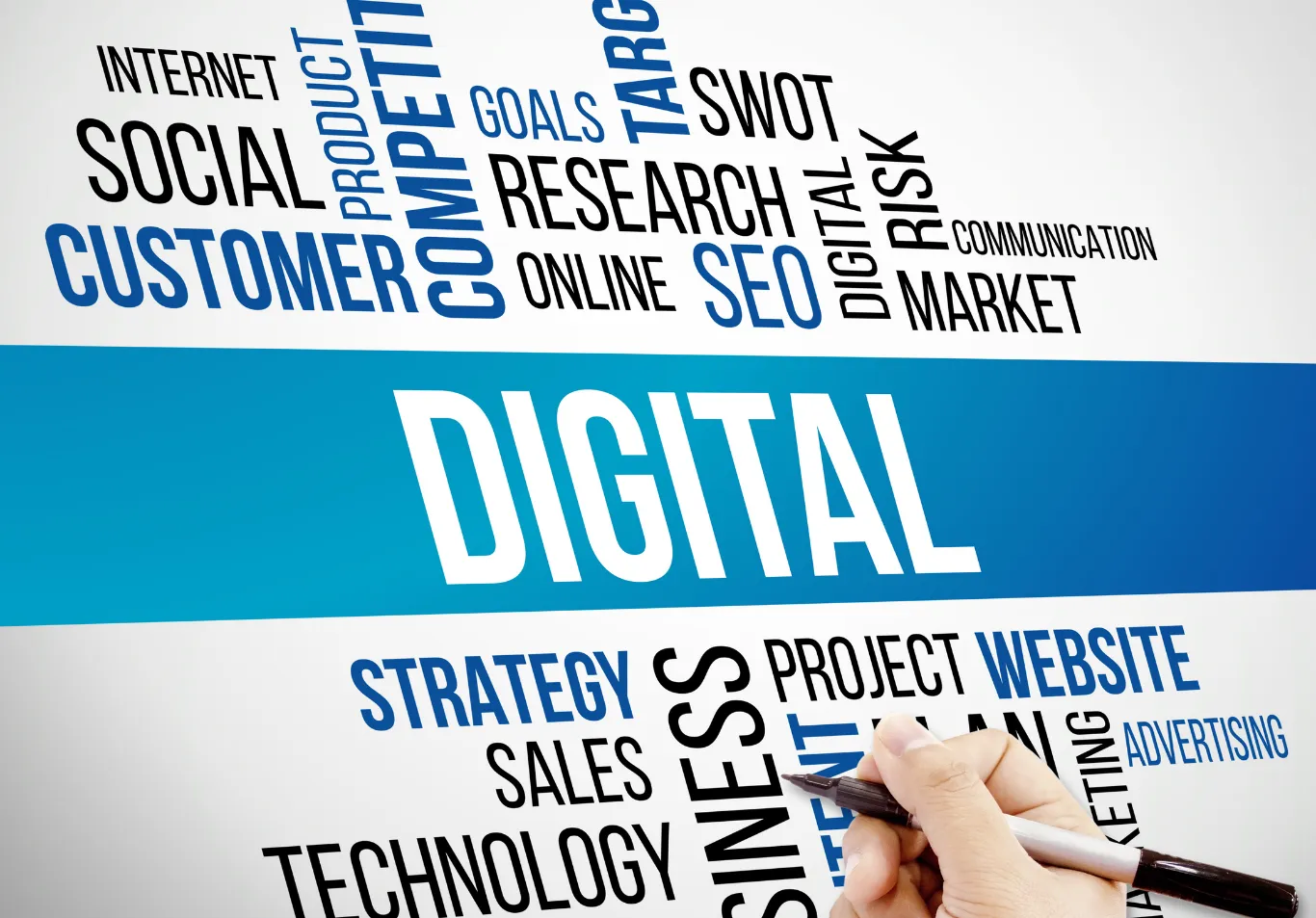 Digital Marketing Management